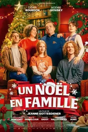 Affiche du film Un Noël en famille