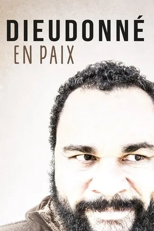 Affiche du film Dieudonné - En paix
