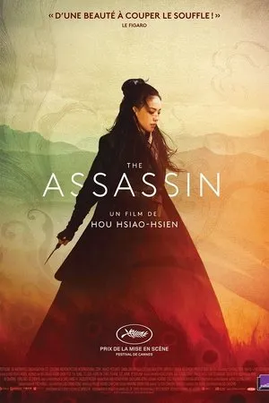 Affiche du film The Assassin