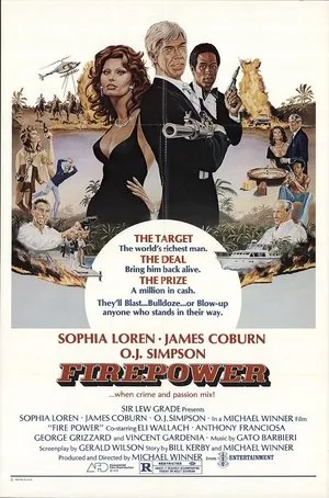 Affiche du film L'Arme au poing