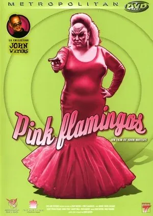 Affiche du film Pink Flamingos