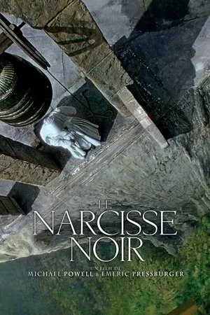 Affiche du film Le Narcisse noir
