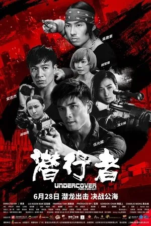 Affiche du film Undercover, Punch & Gun