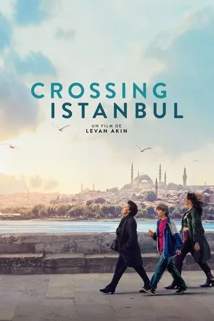 Affiche du film Crossing Istanbul