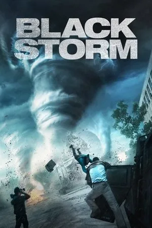 Affiche du film Black Storm