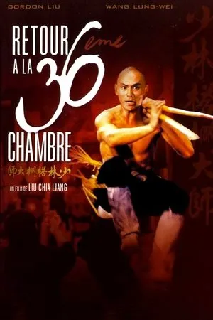 Affiche du film Retour à la 36ème chambre