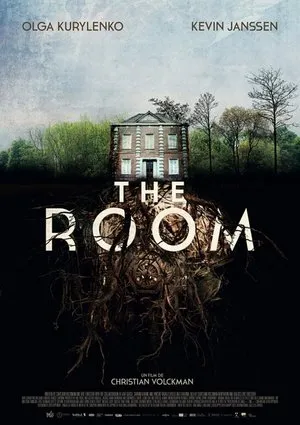 Affiche du film The Room