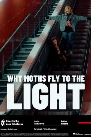 Affiche du film Why moths fly to the light?