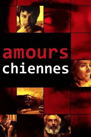 Affiche du film Amours chiennes