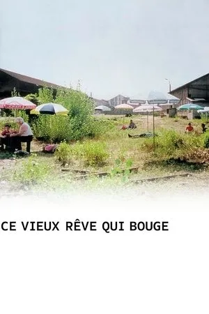 Affiche du film Ce vieux rêve qui bouge