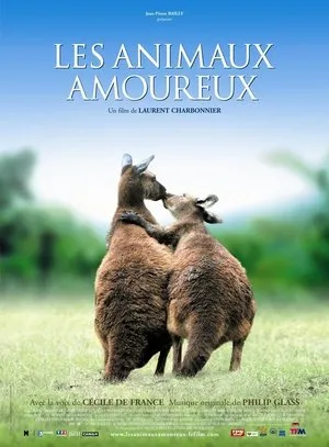 Affiche du film Les Animaux Amoureux