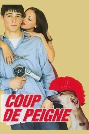 Affiche du film Coup de peigne