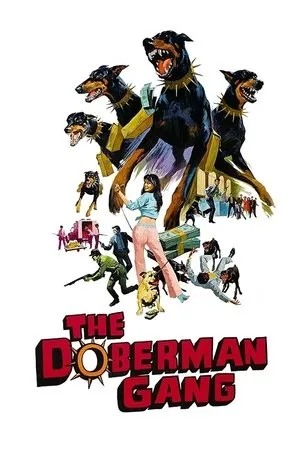 Affiche du film Le gang des dobermans