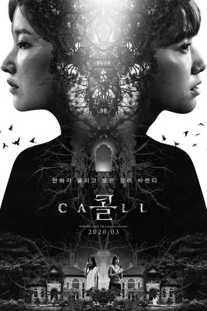 Affiche du film The Call