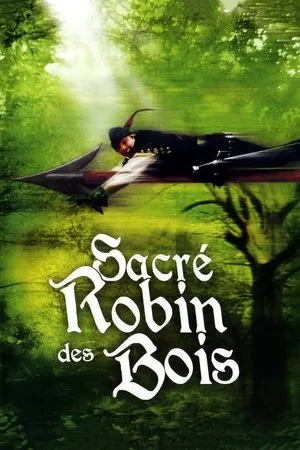 Affiche du film Sacré Robin des bois