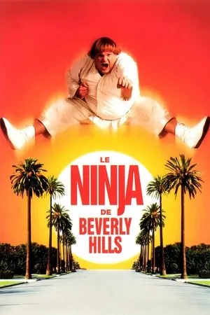 Affiche du film Le Ninja de Beverly Hills