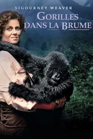 Affiche du film Gorilles dans la Brume