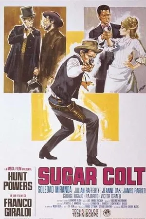 Affiche du film Sugar Colt