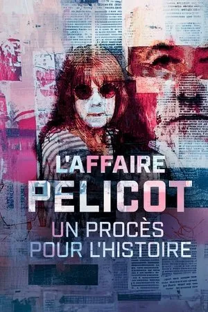 Affiche du film L'affaire Pelicot : un procès pour l'histoire