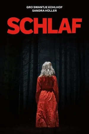 Affiche du film Schlaf
