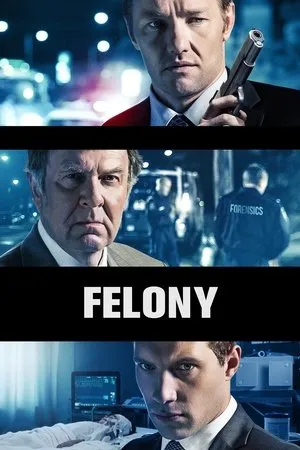 Affiche du film Criminel