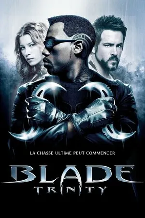 Affiche du film Blade: Trinity