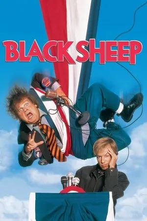 Affiche du film Le Mouton noir