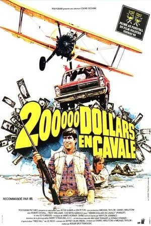 Affiche du film 200 000 Dollars en cavale
