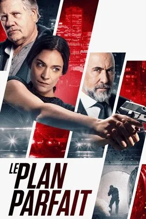 Affiche du film Le Plan Parfait