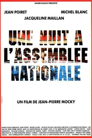 Affiche du film Une nuit à l'Assemblée Nationale