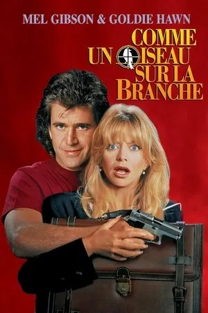 Affiche du film Comme un oiseau sur la branche