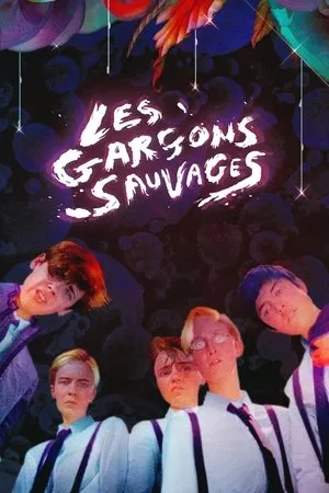 Affiche du film Les Garçons sauvages