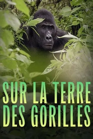 Affiche du film Sur la terre des gorilles