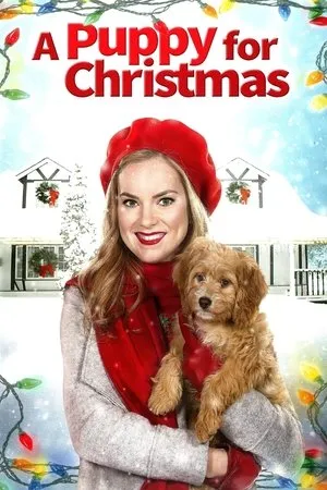 Affiche du film Une demande en mariage pour Noël