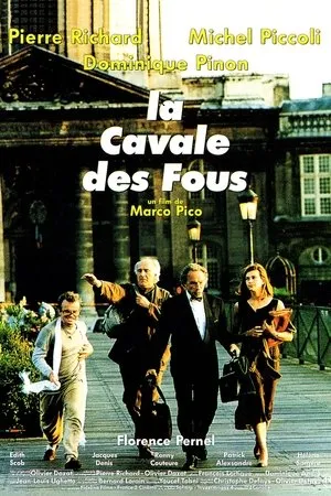 Affiche du film La Cavale des fous