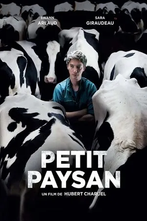 Affiche du film Petit Paysan