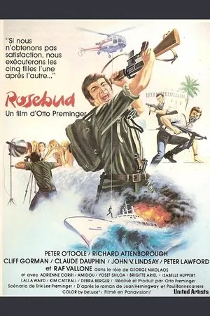Affiche du film Rosebud