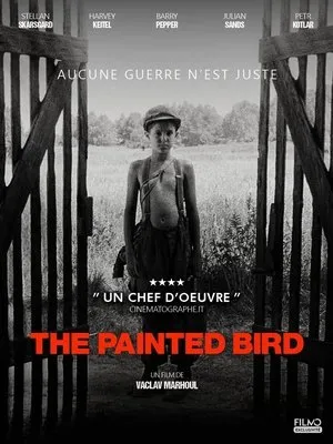 Affiche du film L'Oiseau bariolé