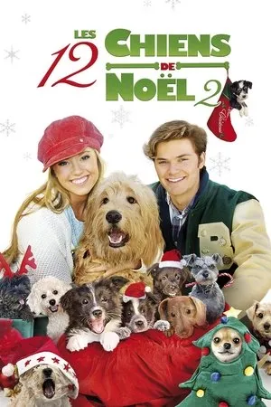 Affiche du film Les 12 chiens de noël 2