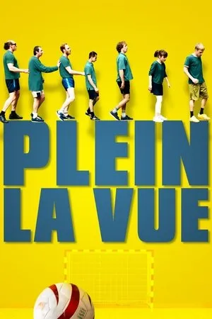 Affiche du film Plein la vue