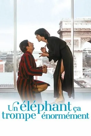 Affiche du film Un éléphant ça trompe énormément