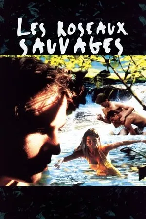 Affiche du film Les Roseaux sauvages