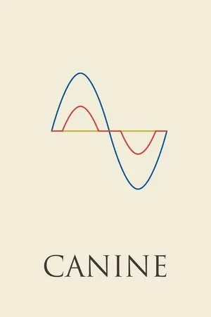 Affiche du film Canine