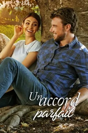 Affiche du film Un accord parfait