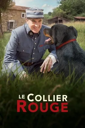 Affiche du film Le Collier rouge