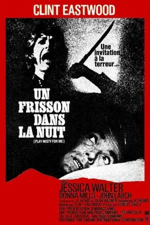 Affiche du film Un frisson dans la nuit