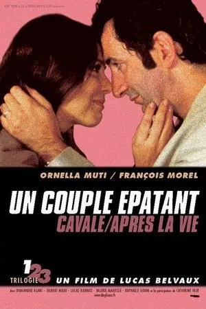 Affiche du film Un couple épatant