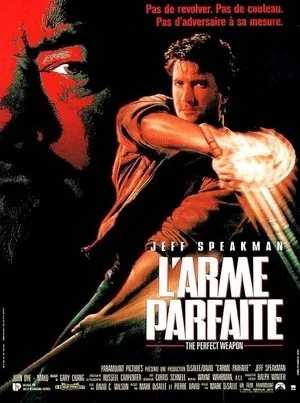 Affiche du film L'Arme parfaite