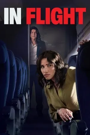 Affiche du film In Flight