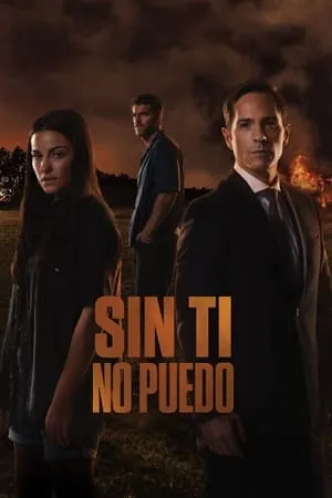 Affiche du film Sin ti no puedo